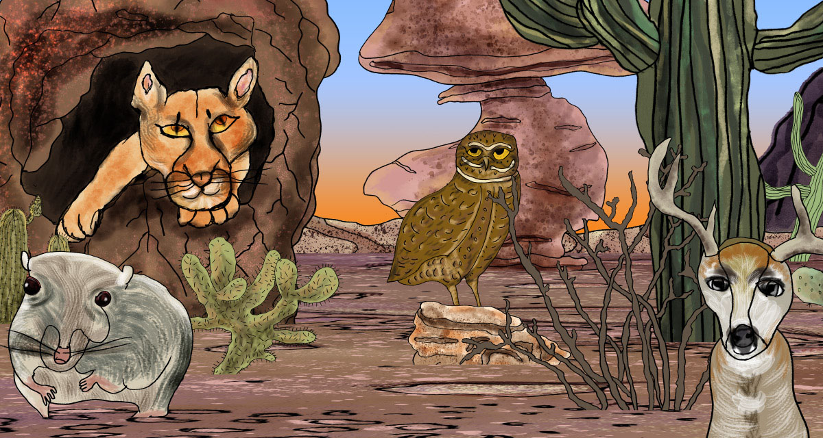 Fairy Fantastic! Presents: Tales of Transformation and Belonging at Carnegie Museum of Art